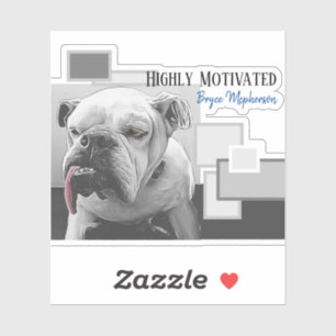 Highly motivated bulldog