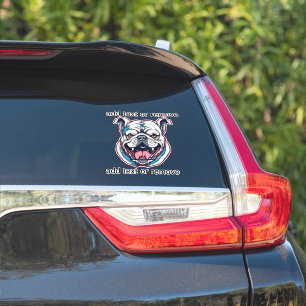 highschool bulldog mascot customise car