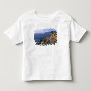 Highway 1 along the California Coast near Toddler T-Shirt