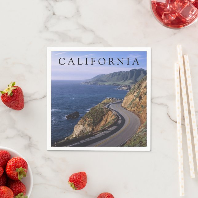 Highway 1 | Carmel California Napkin (Insitu)