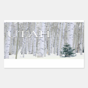 Highway 1   Carmel California Rectangular Sticker