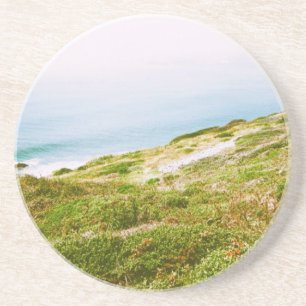 Highway 1 coaster