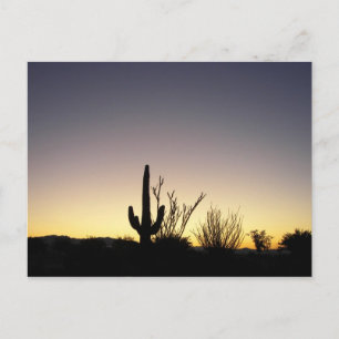 Highway 89 Sunrise Postcard