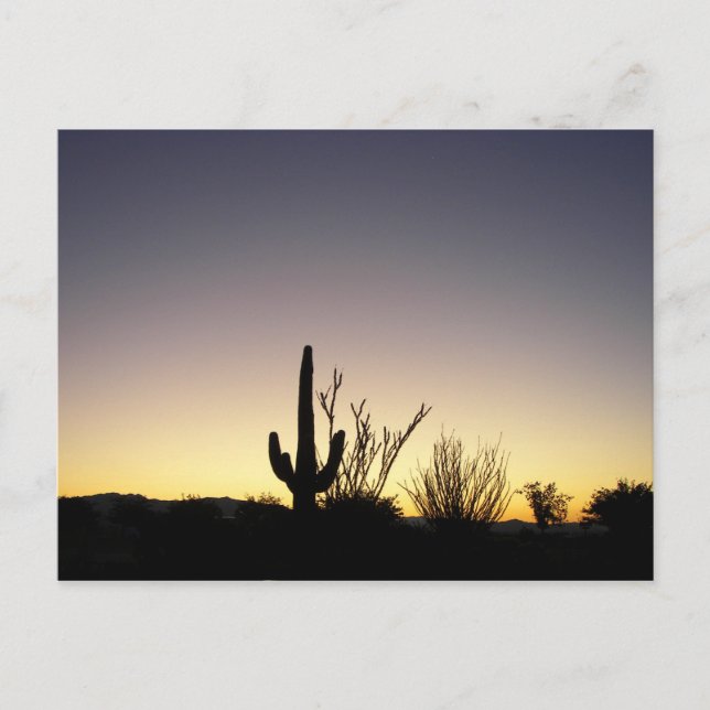 Highway 89 Sunrise Postcard (Front)