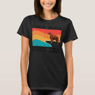 Hike More Worry Less Irish Setter Graphic Hiking T-Shirt