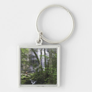 Hiker admires Falls Branch Falls Key Ring
