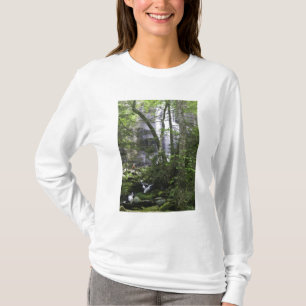 Hiker admires Falls Branch Falls T-Shirt
