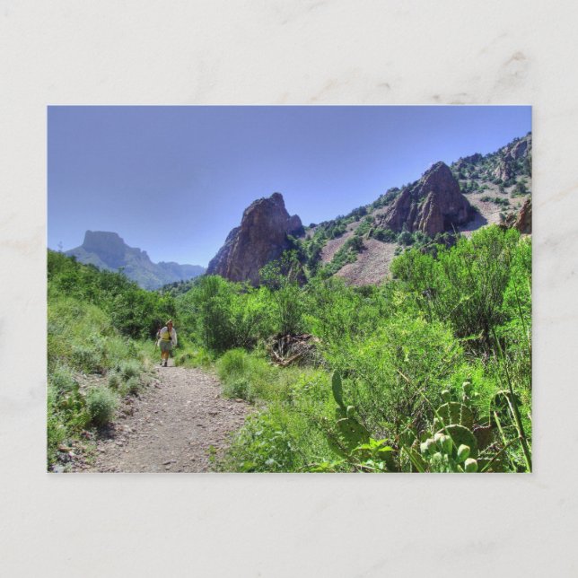 Hiking Big Bend post card (Front)