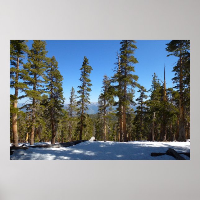 Hiking Down from Mitchell Peak at Sequoia Poster (Front)