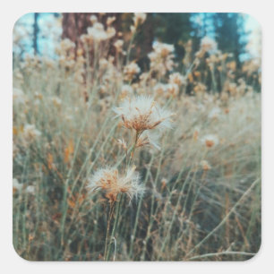 Hiking in Big Bear Square Sticker