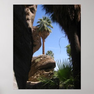 Hiking in Indian Canyon, Palm Springs, CA, Desert Poster