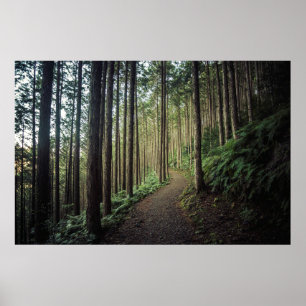 Hiking in the Mountains Wakayama, Japan Poster