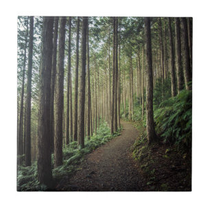 Hiking in the Mountains   Wakayama, Japan Tile