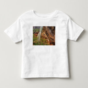 Hiking The Emerald Pools Trail in Zion National Toddler T-Shirt