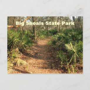 Hiking Trail, Big Shoals State Park, Florida Postcard