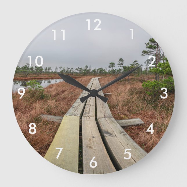 Hiking trail in swamp large clock (Front)