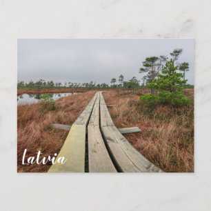 Hiking trail in swamp postcard