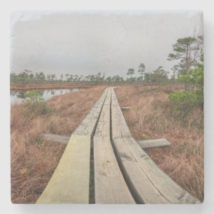 Hiking trail in swamp stone coaster