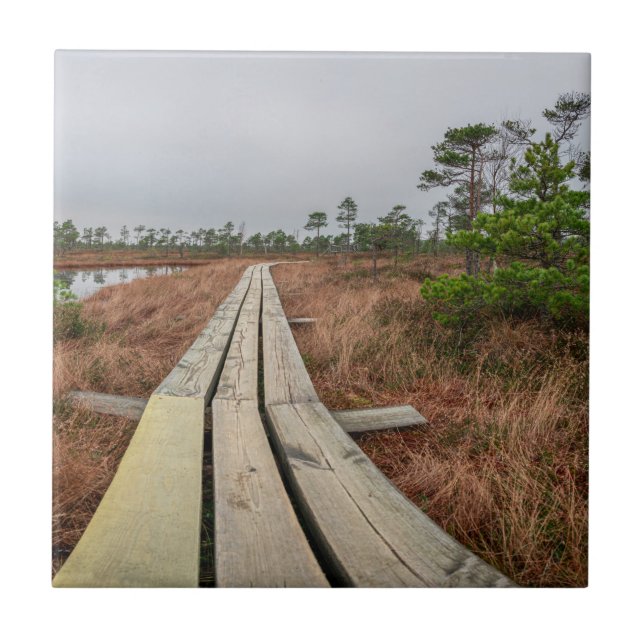 Hiking trail in swamp tile (Front)