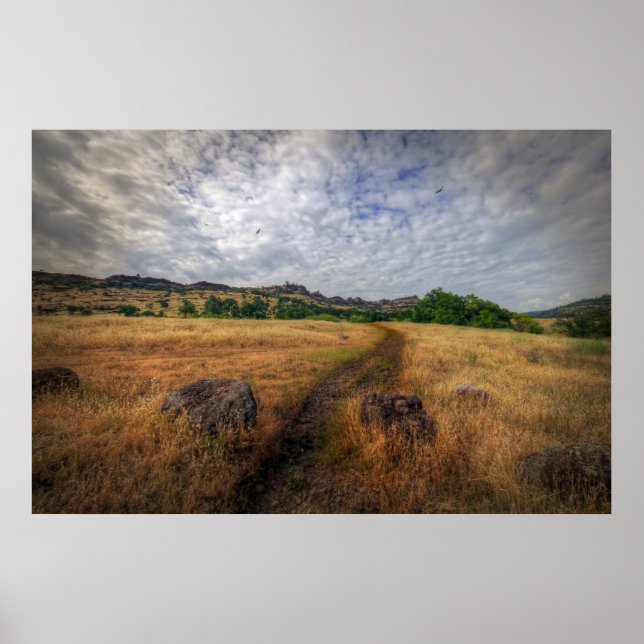 Hiking Trail Poster (Front)