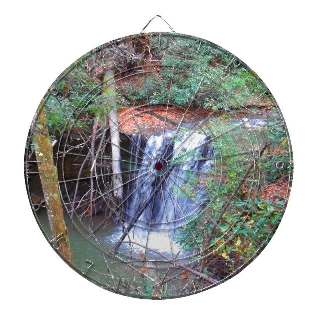Hiking Trail Waterfall Dartboard (Front)