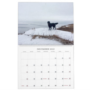 Hiking With Hazel 2022 Calendar
