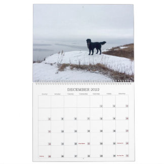 Hiking With Hazel 2022 Calendar