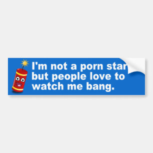 Hilarious Fireworks Quote Bumper Sticker