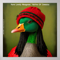 Hilarious Jamaican Mongoose Reggae Goose