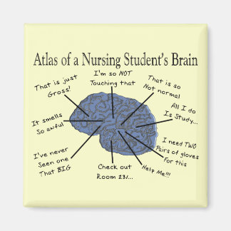 Hilarious Nursing Student "Brain" Gifts Magnet