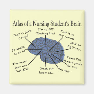 Hilarious Nursing Student "Brain" Gifts Magnet