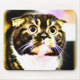 Hilarious Photo of a Funny Cat. Buy Now Mouse Mat