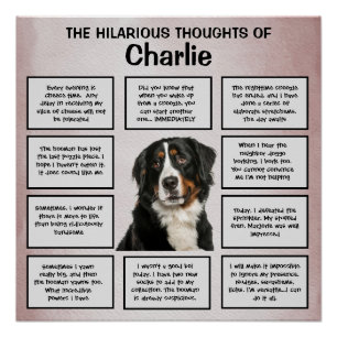 Hilarious thoughts of my Bernese Mountain Dog Poster