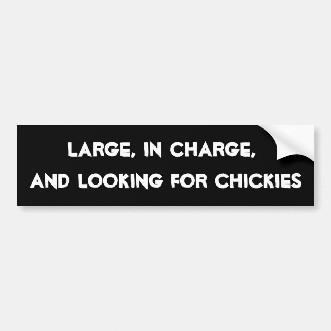 HilariTee: Large,In Charge, Looking For Chickies Bumper Sticker (Front)