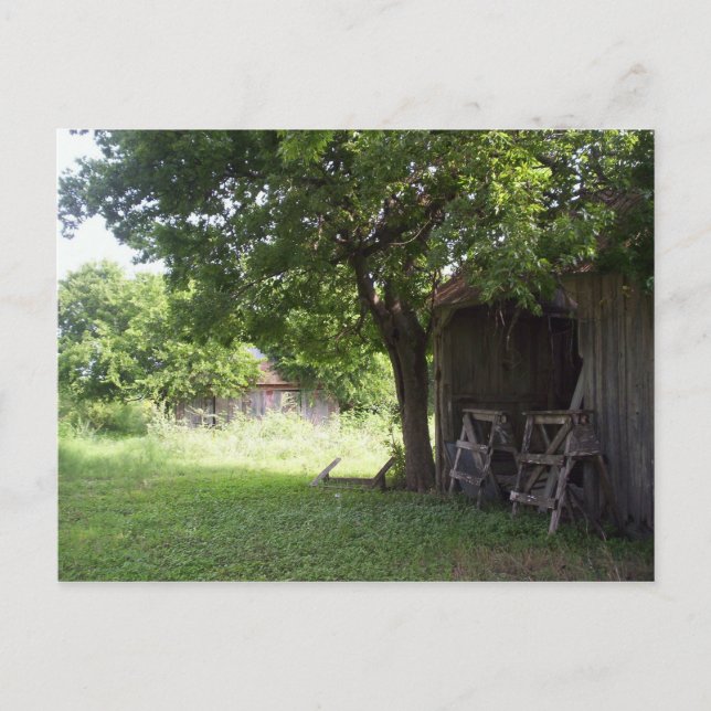 Hill Country Sunshine Postcard (Front)