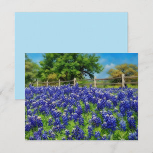 Hill Country Texas Bluebonnet Note Card Set