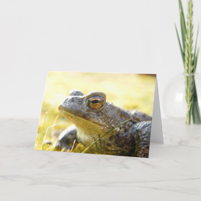 Hill End Toad Card (Front)
