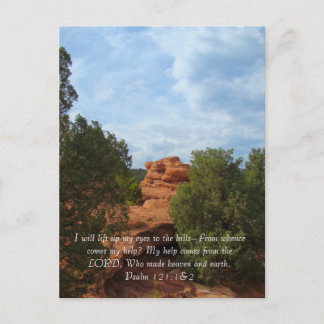 Hills in Summer Postcard