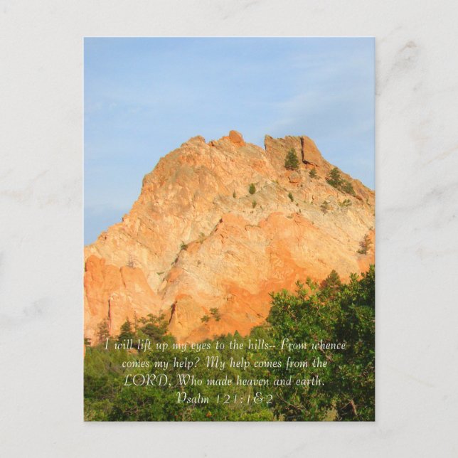 Hills in Summer Postcard (Front)
