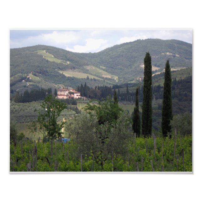 Hills of Chianti Photo Print (Front)