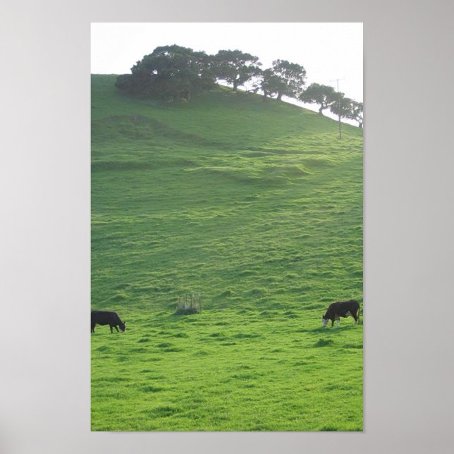 Hills on 227 poster (Front)