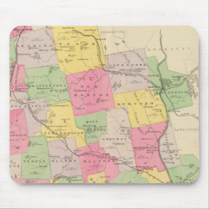 Hillsborough County Mouse Mat