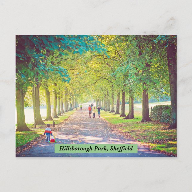 Hillsborough Park, Sheffield Postcard (Front)