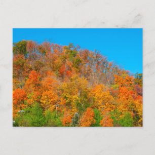 Hillside Autumn Colours, Southern Indiana Postcard