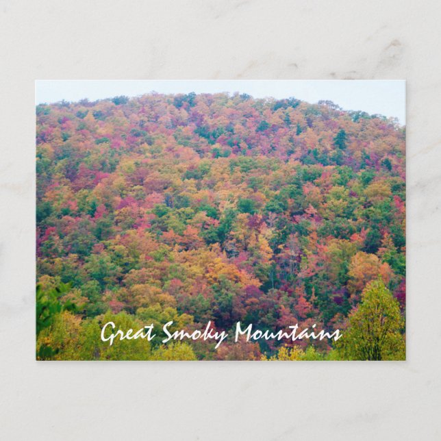 Hillside in Colour Postcard (Front)