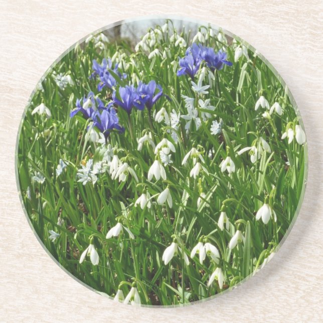 Hillside of Early Spring Flowers Landscape Coaster (Front)