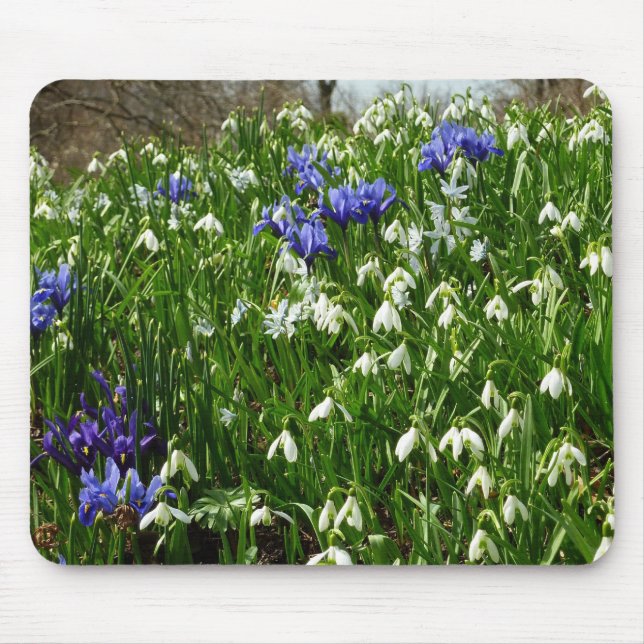 Hillside of Early Spring Flowers Landscape Mouse Mat (Front)