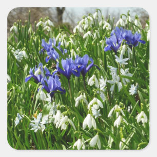Hillside of Early Spring Flowers Landscape Square Sticker