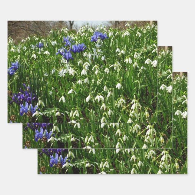 Hillside of Early Spring Flowers Landscape Wrapping Paper Sheet (Set)