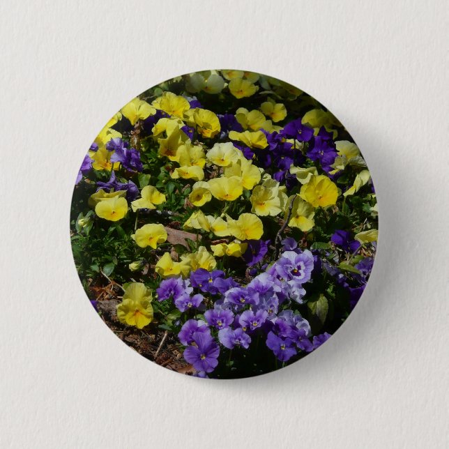 Hillside of Purple and Yellow Pansies 6 Cm Round Badge (Front)